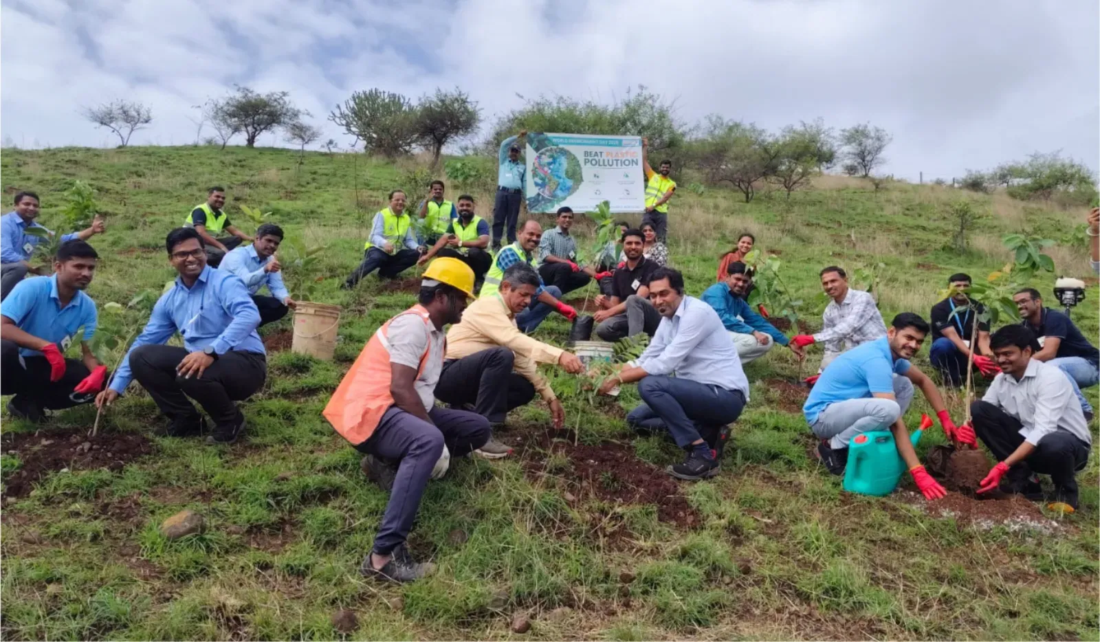 Plantation & Afforestation
